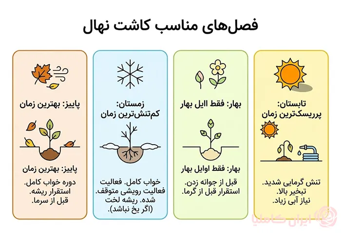 بهترین زمان کاشت نهال 
